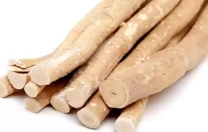 Benefits Of Siwak For Teeth